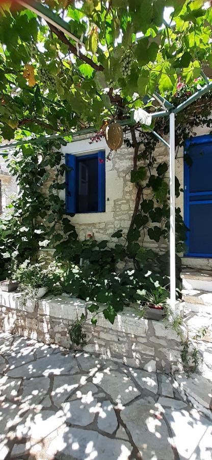 Petrinο Katochori Διαμέρισμα Κατωχώρι Εξωτερικό φωτογραφία